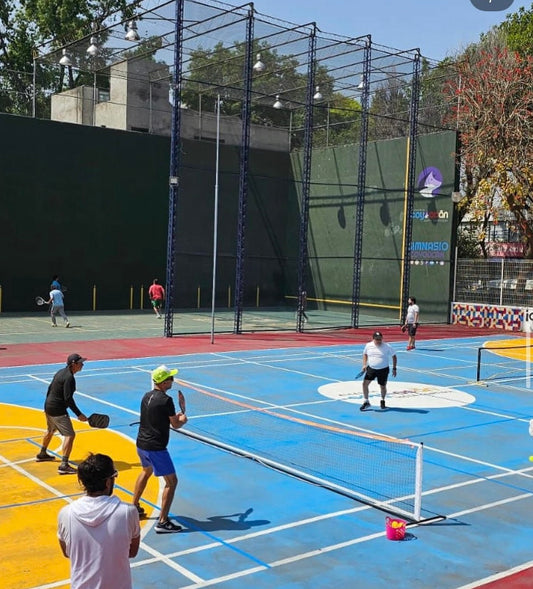 Pickleball Tepepan Santa María Tepepan, Xochimilco